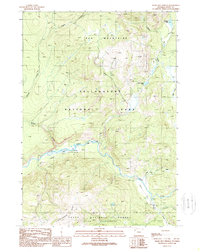 Snake Hot Springs 1989 topographic map thumbnail