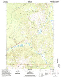 Snake Hot Springs 1996 topographic map thumbnail
