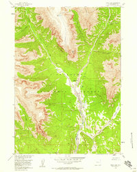 Snow Lake 1956 topographic map thumbnail