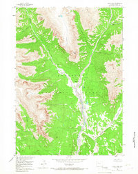 Snow Lake 1956 topographic map thumbnail