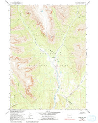 Snow Lake 1956 topographic map thumbnail