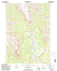 Snow Lake 1991 topographic map thumbnail
