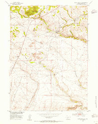 South Pass City 1953 topographic map thumbnail