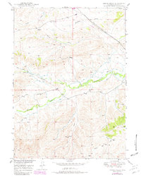 Spring Creek 1949 topographic map thumbnail