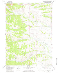 Springman Creek 1980 topographic map thumbnail
