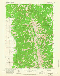 Stewart Peak 1965 topographic map thumbnail