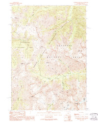 Stinkingwater Peak 1989 topographic map thumbnail