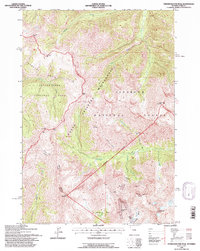 Stinkingwater Peak 1991 topographic map thumbnail