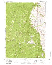 Stone Mountain 1967 topographic map thumbnail