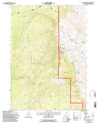 Stone Mountain 1993 topographic map thumbnail