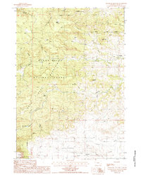 Sugarloaf Mountain 1984 topographic map thumbnail