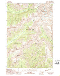Sunlight Peak 1989 topographic map thumbnail