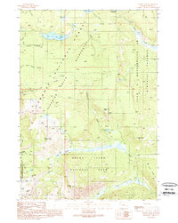 Survey Peak 1989 topographic map thumbnail