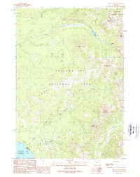 Sylvan Lake 1989 topographic map thumbnail