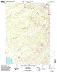 Sylvan Lake 1991 topographic map thumbnail