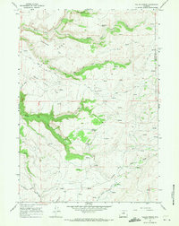Tallon Spring 1966 topographic map thumbnail
