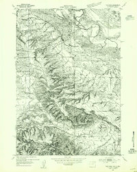 The Forks topographic map thumbnail