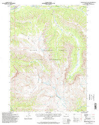 Thorofare Plateau 1996 topographic map thumbnail