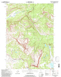 Togwotee Pass 1991 topographic map thumbnail