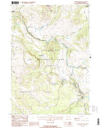 Tower Junction 1986 topographic map preview