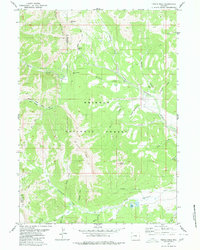 Triple Peak 1980 topographic map thumbnail