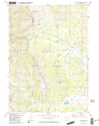 Triple Peak 1980 topographic map thumbnail