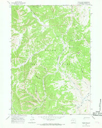 Tripod Peak 1965 topographic map thumbnail