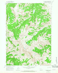 Turquoise Lake 1965 topographic map thumbnail