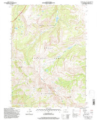 Turquoise Lake 1996 topographic map thumbnail