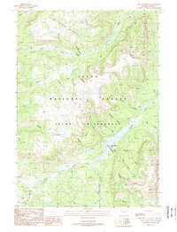 Two Ocean Pass 1989 topographic map thumbnail