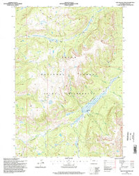 Two Ocean Pass 1996 topographic map thumbnail