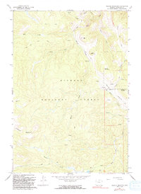 Walker Mountain 1964 topographic map thumbnail