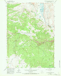 Warm Spring Mountain 1956 topographic map thumbnail