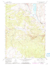 Warm Spring Mountain 1956 topographic map thumbnail