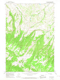 West Pass 1964 topographic map thumbnail
