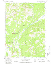 Whetstone Mountain 1965 topographic map thumbnail