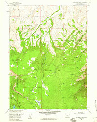 White Rock Canyon 1958 topographic map thumbnail