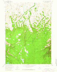 White Rock Canyon 1958 topographic map thumbnail