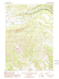 Windy Mountain 1989 topographic map preview