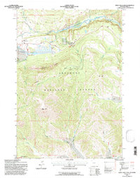 Windy Mountain 1991 topographic map thumbnail
