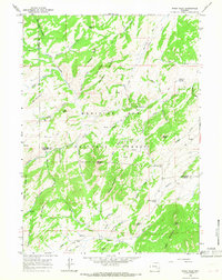 Windy Peak 1964 topographic map thumbnail