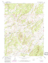 Windy Peak 1964 topographic map thumbnail