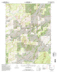 Windy Peak 1992 topographic map thumbnail