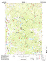 Woodrock 1993 topographic map thumbnail