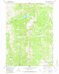 Wyoming Peak 1980 topographic map thumbnail