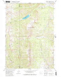 Wyoming Peak 1980 topographic map thumbnail