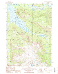 Yellowstone Point 1989 topographic map preview