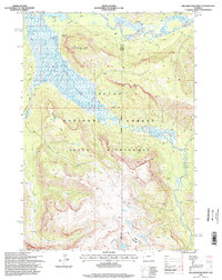 Yellowstone Point 1996 topographic map thumbnail