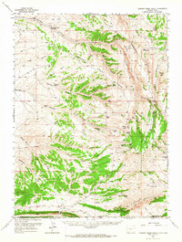 Currant Creek Ranch topographic map thumbnail