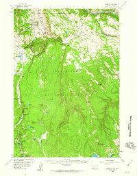 Mammoth 1958 topographic map thumbnail